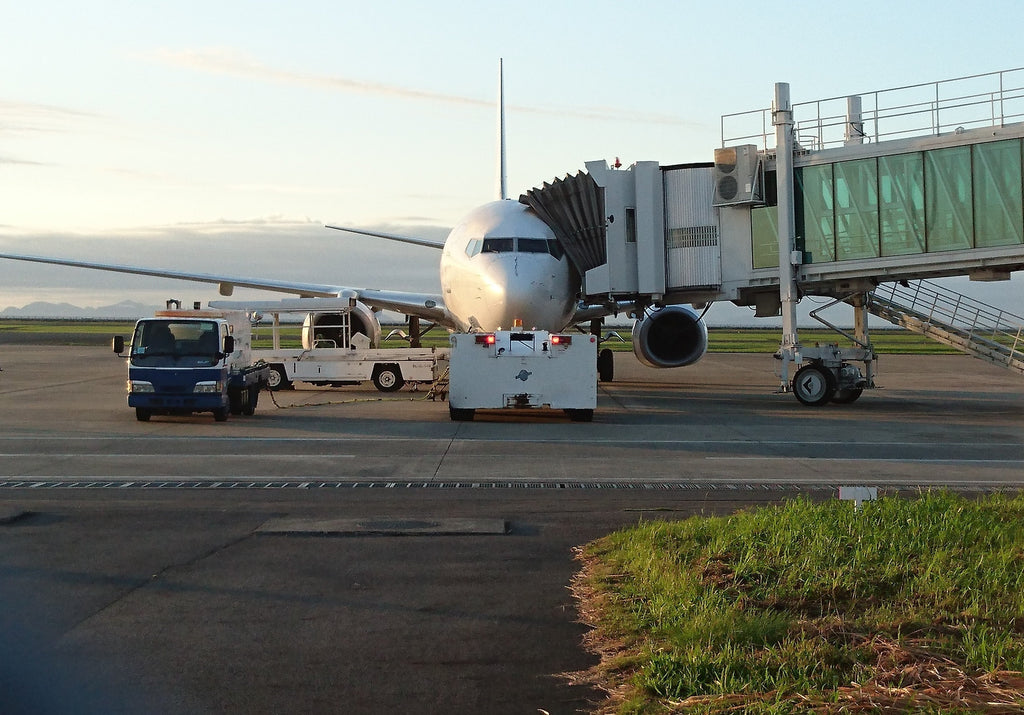 ハワイ旅行で持ち込みが禁止されているものや制限されているものは?