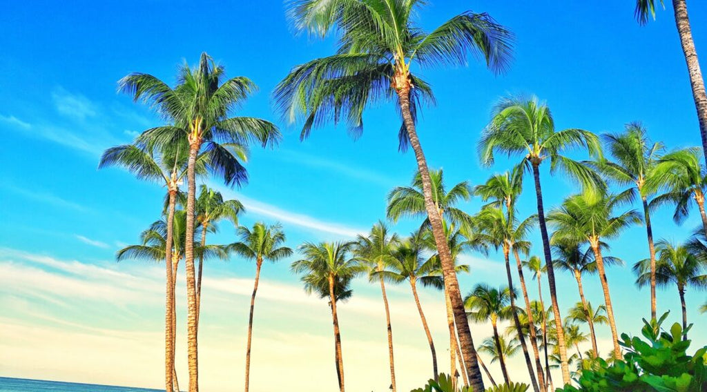 ハワイ旅行を楽しむためのエッセンスとは?