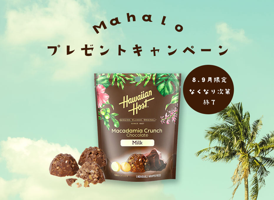 🎁 日頃の感謝を込めて!プレゼントキャンペーン 🎁