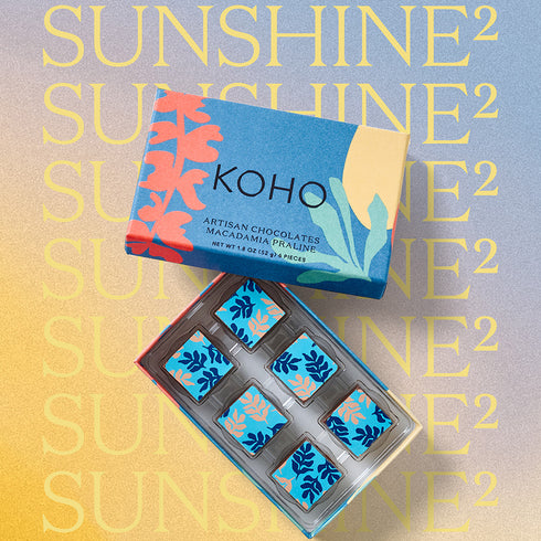 KOHO マカダミアプラリネ 6PC
