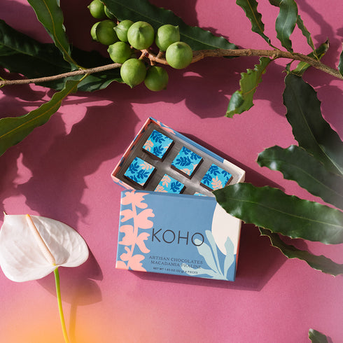 KOHO マカダミアプラリネ 6PC