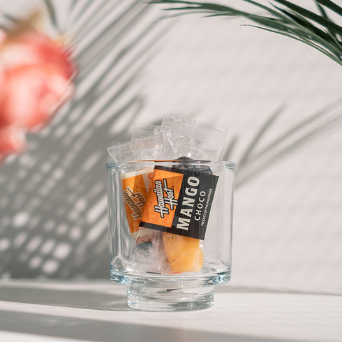 ドライマンゴーチョコレート(12枚)4袋セット