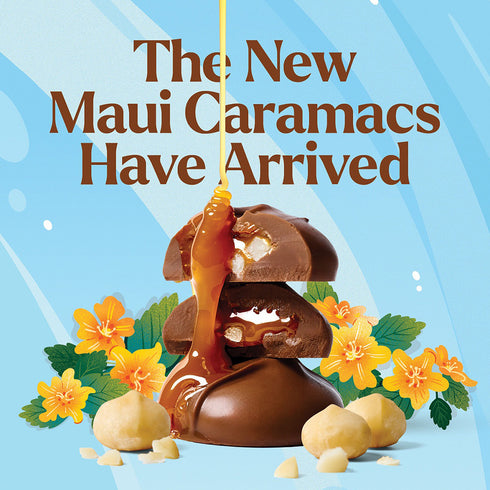 マウイキャラマックス(10粒)4箱セット