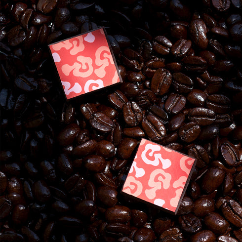 KOHO プラリネアソート エメラルド 12PC