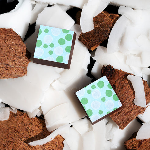 KOHO プラリネアソート エメラルド 12PC