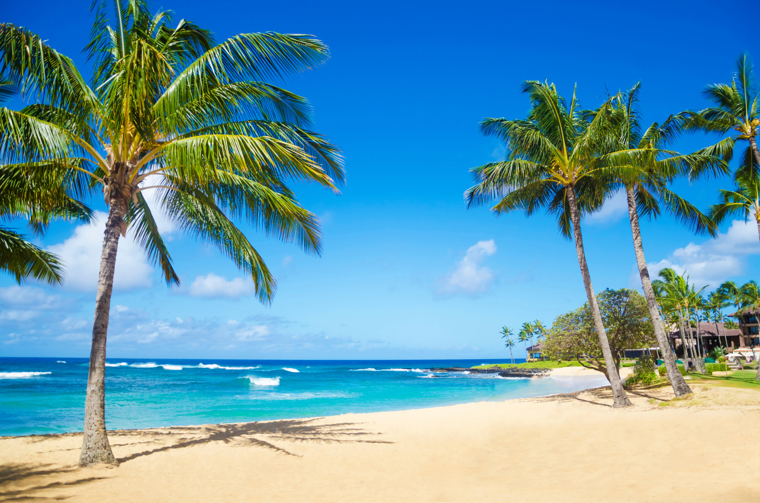 ハワイのローカルに人気の穴場の海